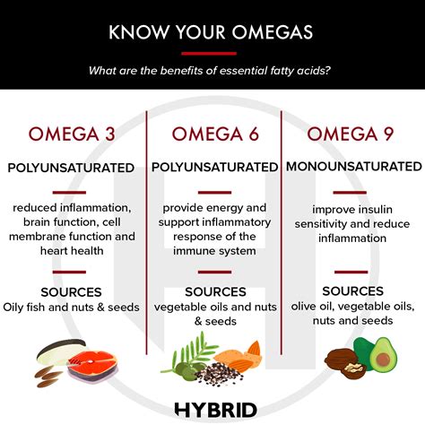 whats omega|types of omega.